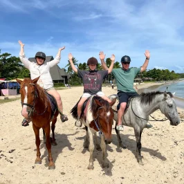 Natadola Beach Horse Riding Fiji AU$95